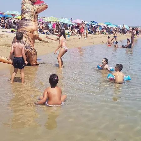 1 Bedroom In Daire La Mata (Torrevieja)